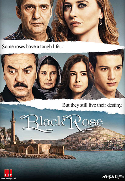 Black Rose saison 2