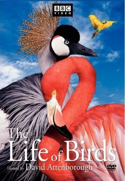 The Life of Birds saison 1