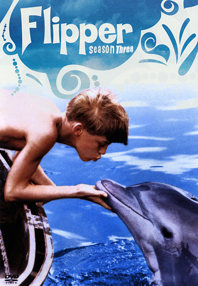 Flipper saison 3