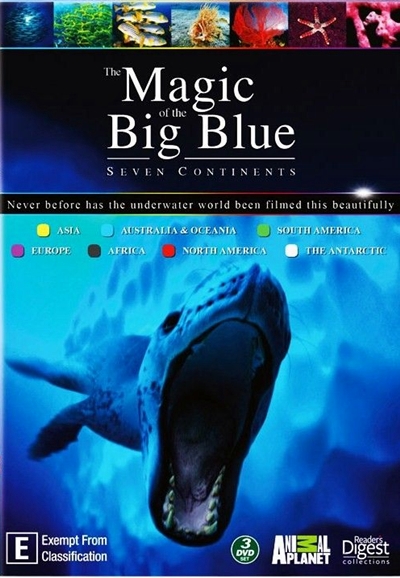 The Magic of the Big Blue saison 1