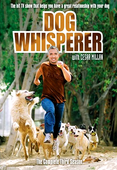 César, l'homme qui parle aux chiens saison 3