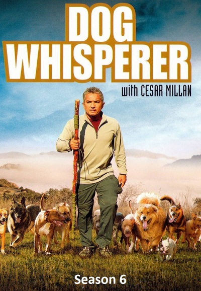 César, l'homme qui parle aux chiens saison 6