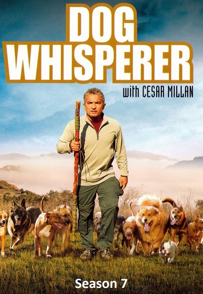 César, l'homme qui parle aux chiens saison 7