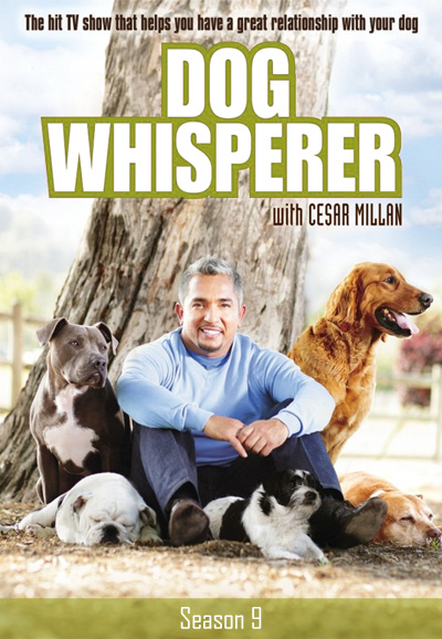 César, l'homme qui parle aux chiens saison 9