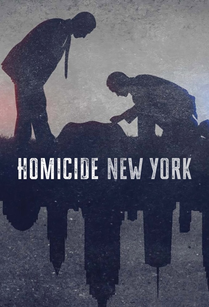 Homicide: New York saison 1