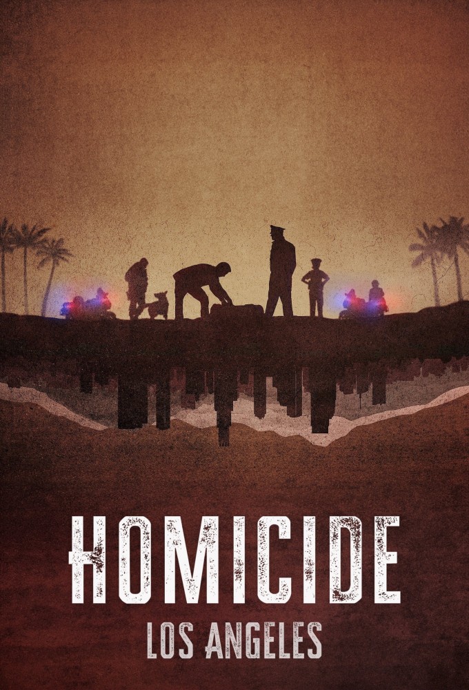 Homicide: New York saison 2