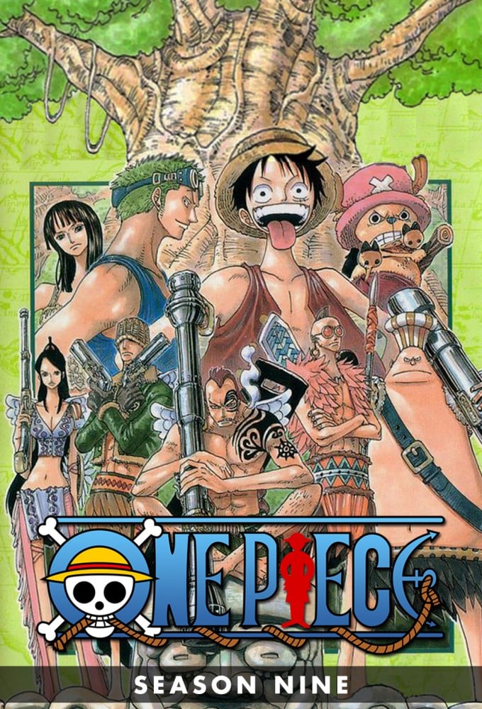 One Piece saison 9