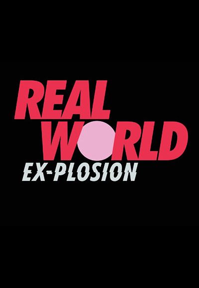 The Real World saison 29