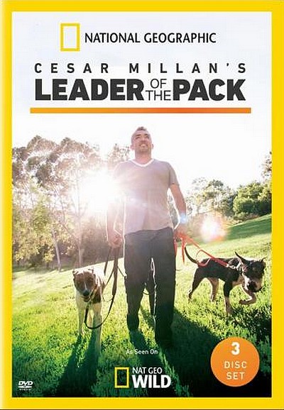 Cesar Millan's Leader of the Pack saison 1