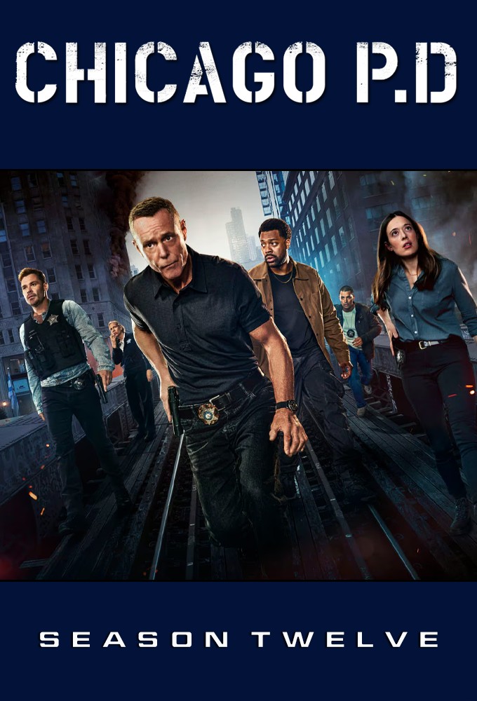 Chicago Police Department saison 12