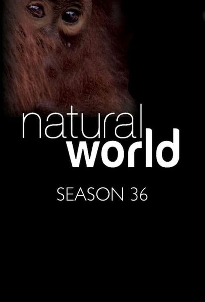 Natural World saison 36