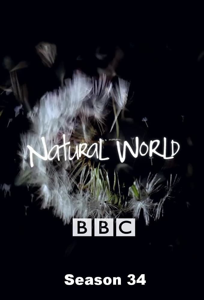 Natural World saison 34