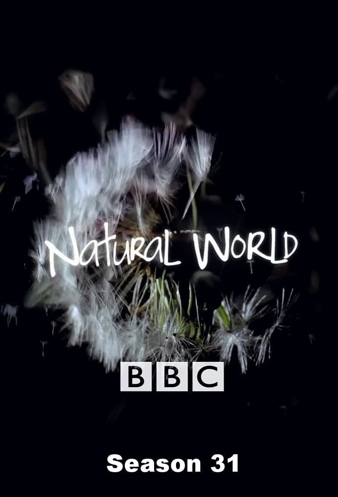 Natural World saison 31