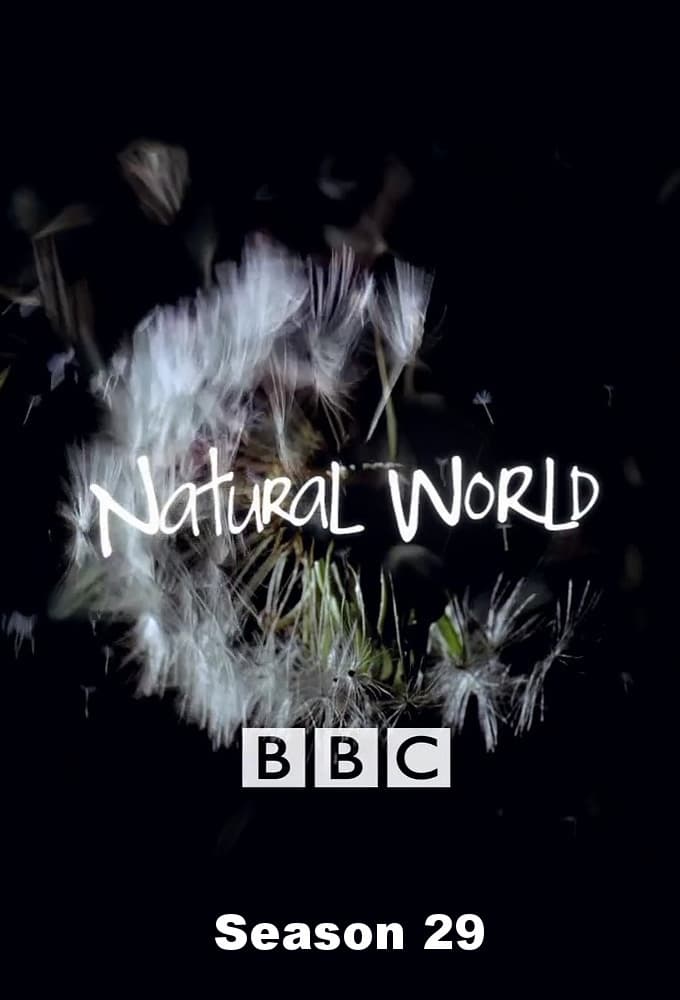 Natural World saison 29