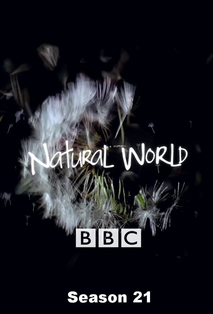 Natural World saison 21