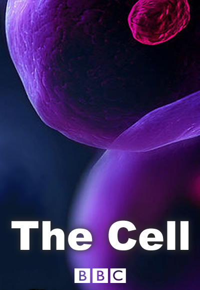 The Cell saison 1