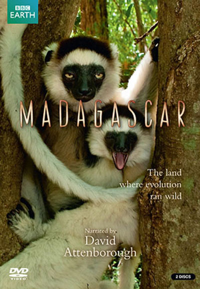 Madagascar saison 1