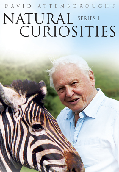 Curiosités animales David Attenborough saison 1