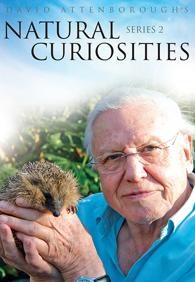 Curiosités animales David Attenborough saison 2