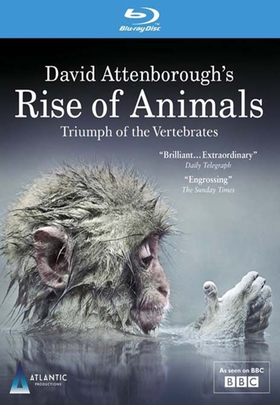 David Attenborough's Rise of Animals: Triumph of the Vertebrates saison 1