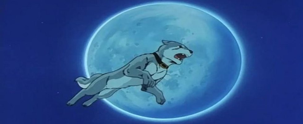 Todays anime dog of the day is Silver Fang from