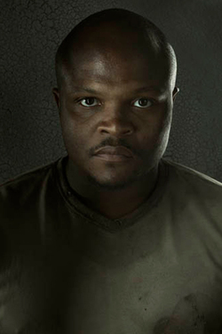 The Walking Dead-Irone Singleton